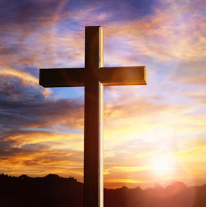 Meet your Posher, Wilson